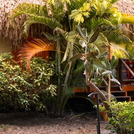 Mondi Lodge Dorp Dorp Sint Michiel Zewnętrze zdjęcie