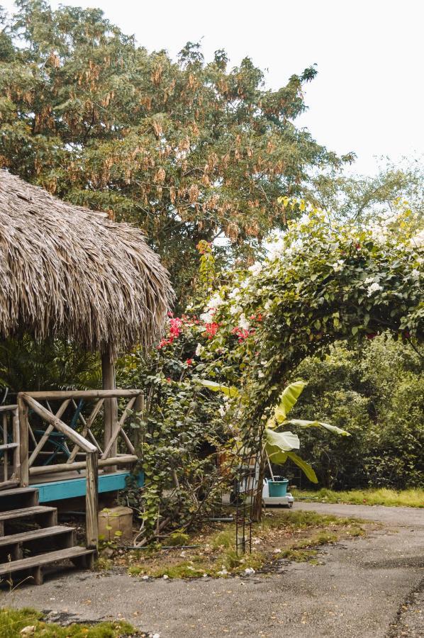 Mondi Lodge Dorp Dorp Sint Michiel Zewnętrze zdjęcie